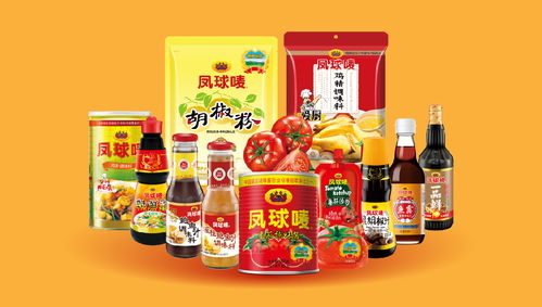 鳳球嘜 以戰略重塑品牌，用視覺點燃味蕾——調味品行業品牌全案策劃解析