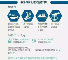 埃及進(jìn)入國家緊急狀態(tài) 商務(wù)部發(fā)布警示，外貿(mào)貨代企業(yè)需加強(qiáng)風(fēng)險(xiǎn)防范